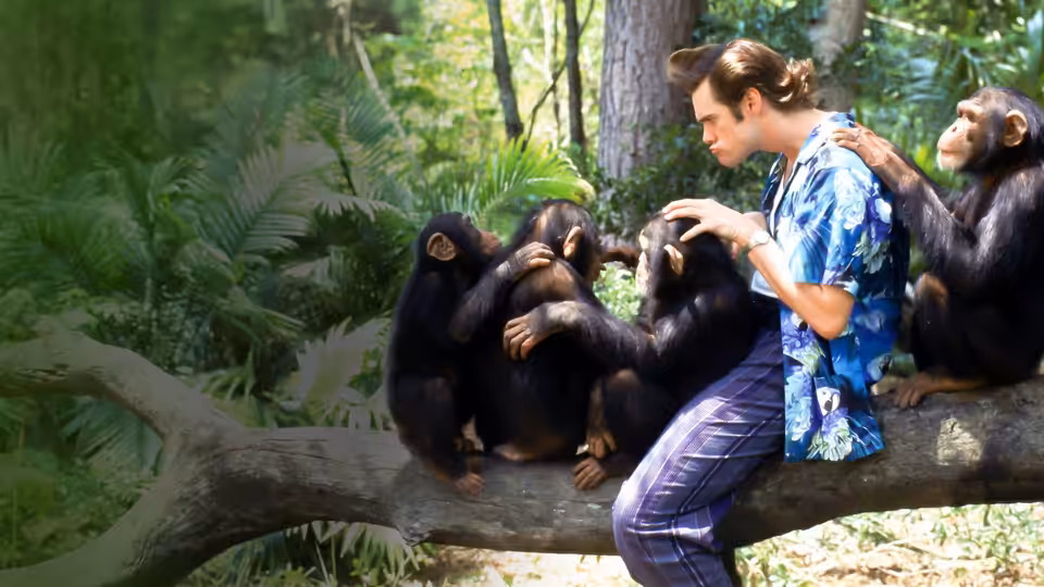 Ace Ventura (Jim Carrey) sits on a jungle branch among chimpanzees