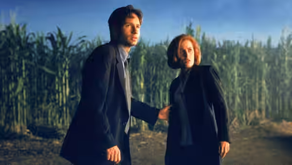 Fox Mulder (David Duchovny) and Dana Scully (Gillian Anderson) stand beside a cornfield