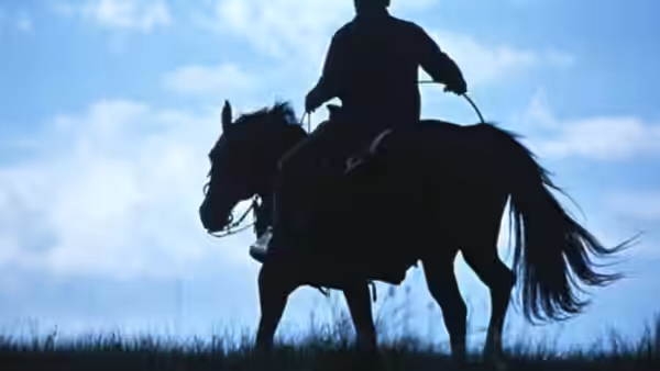 A silhouetted rider guides a horse along a grassy ridge