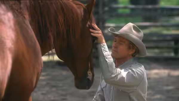 Tom Booker (Robert Redford) gently touches a horse in a ranch paddock