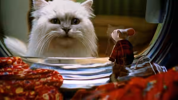 Snowbell faces Stuart beside a bathroom sink