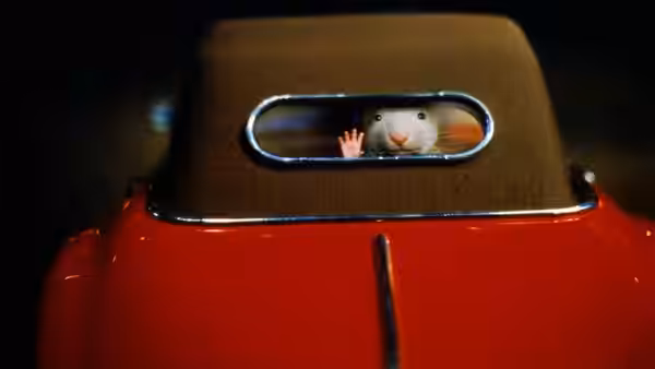 Stuart waves through the rear window of a red car