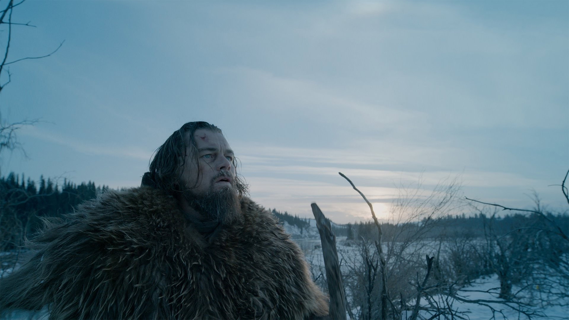 The Revenant, still 4