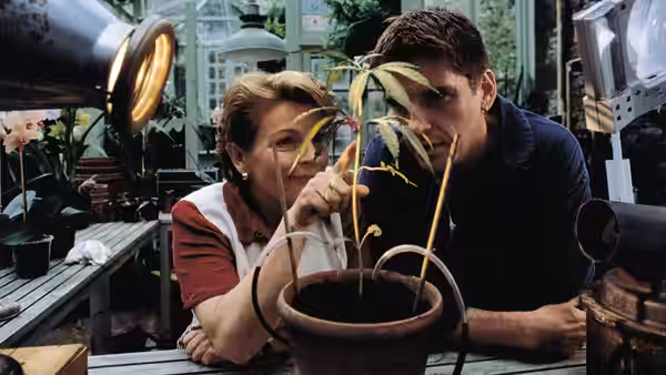 Grace Trevethyn (Brenda Blethyn) and Matthew Steward (Craig Ferguson) inspect a small potted plant