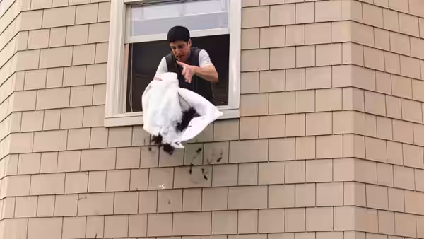 Jim Levenstein (Jason Biggs) leans from a window, tossing a white wedding dress outside