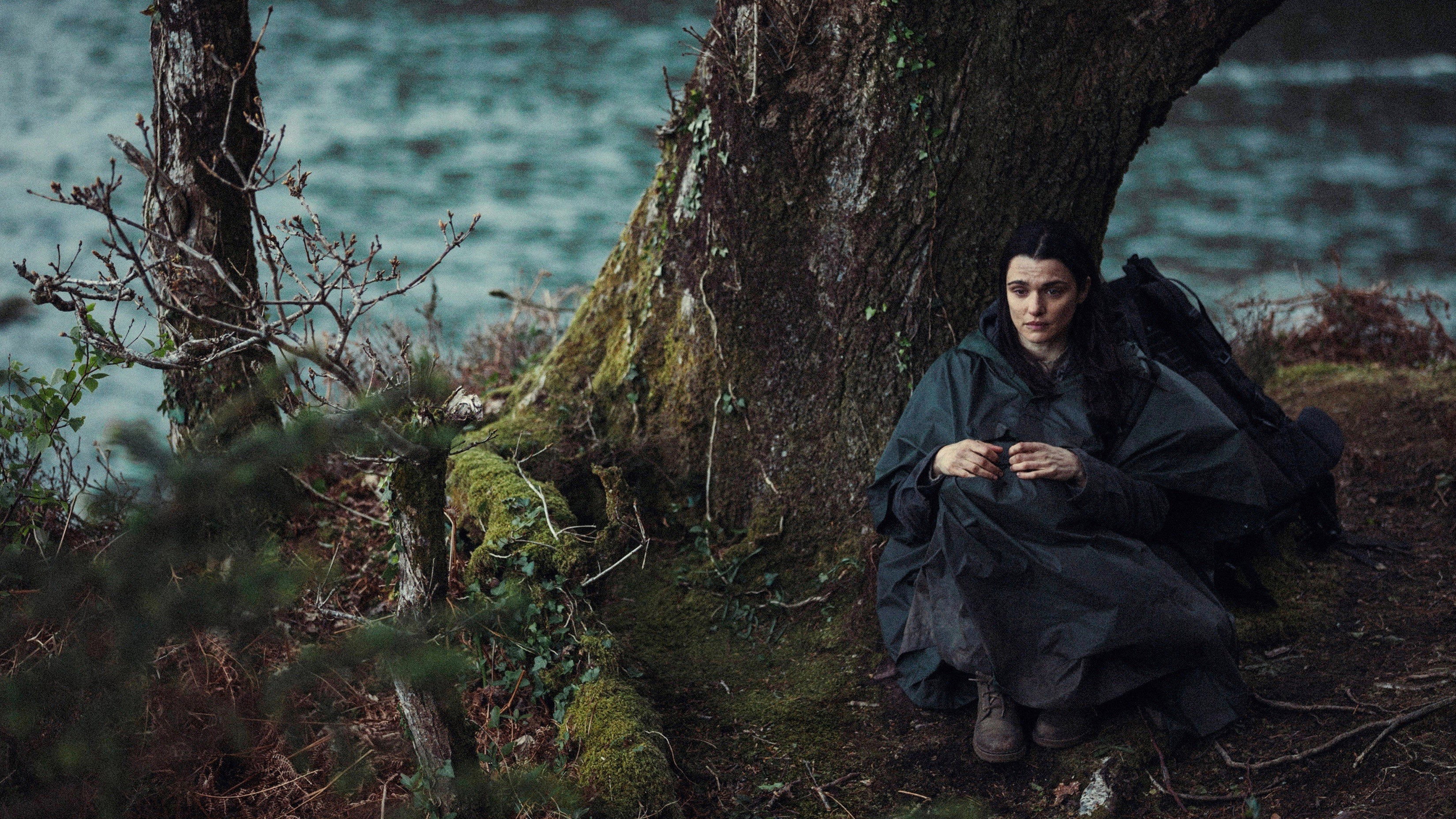 The Lobster, still 6