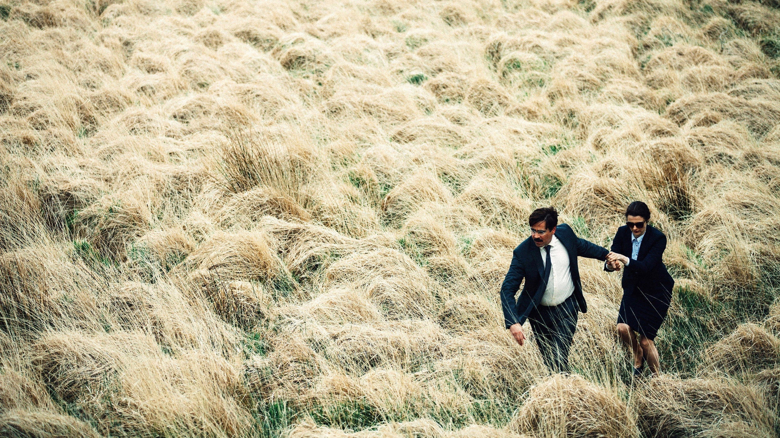 The Lobster, still 1