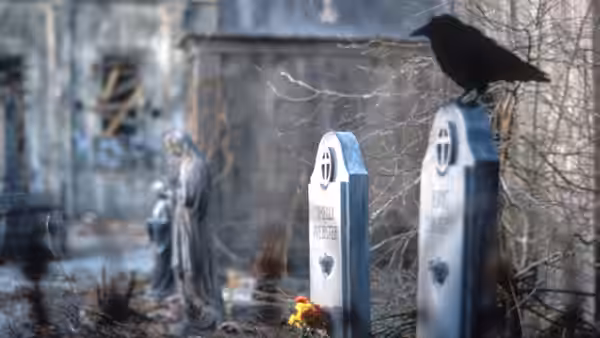A crow perches on a grave marker as a woman stands among cemetery headstones