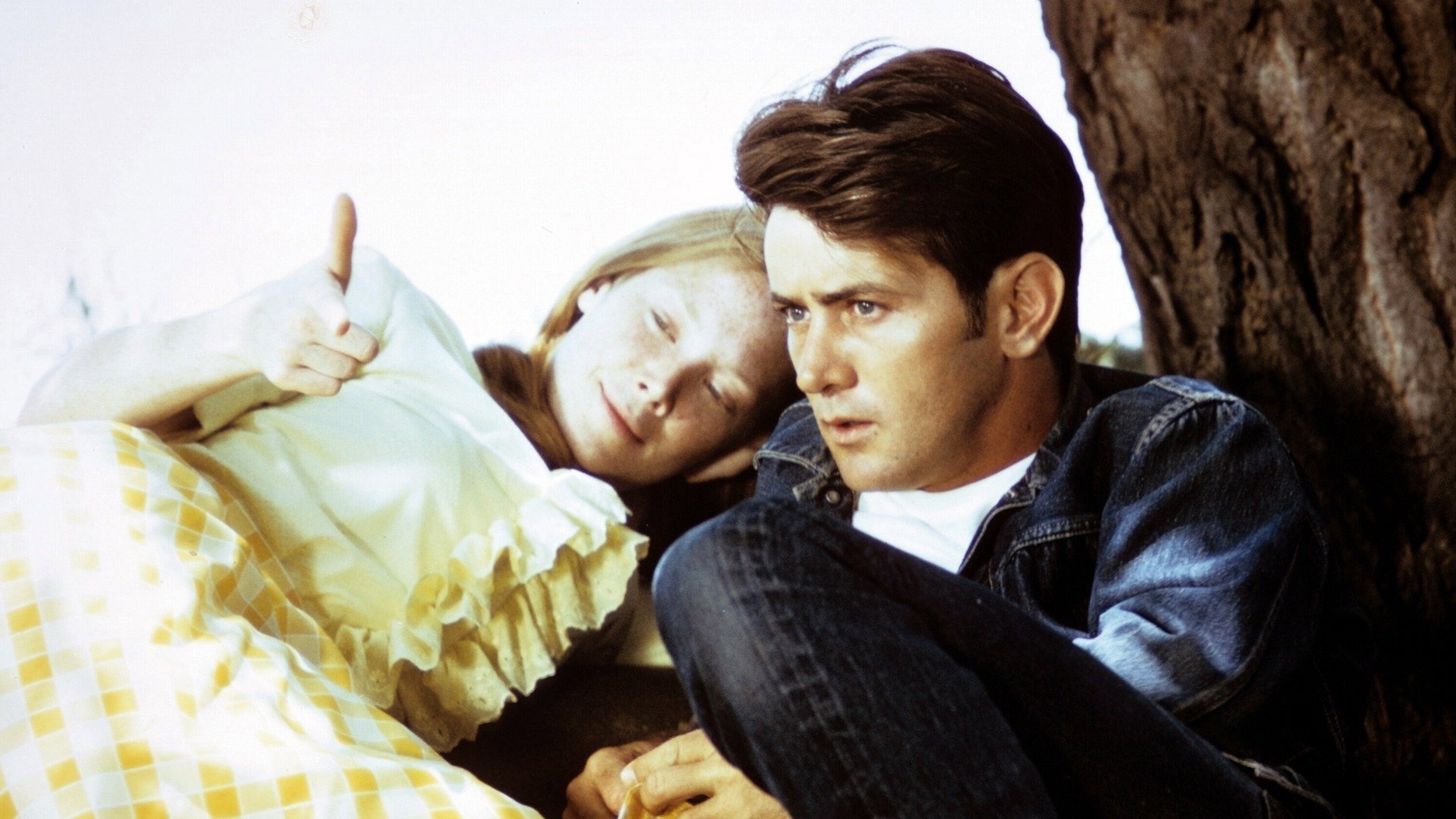Badlands, still 1