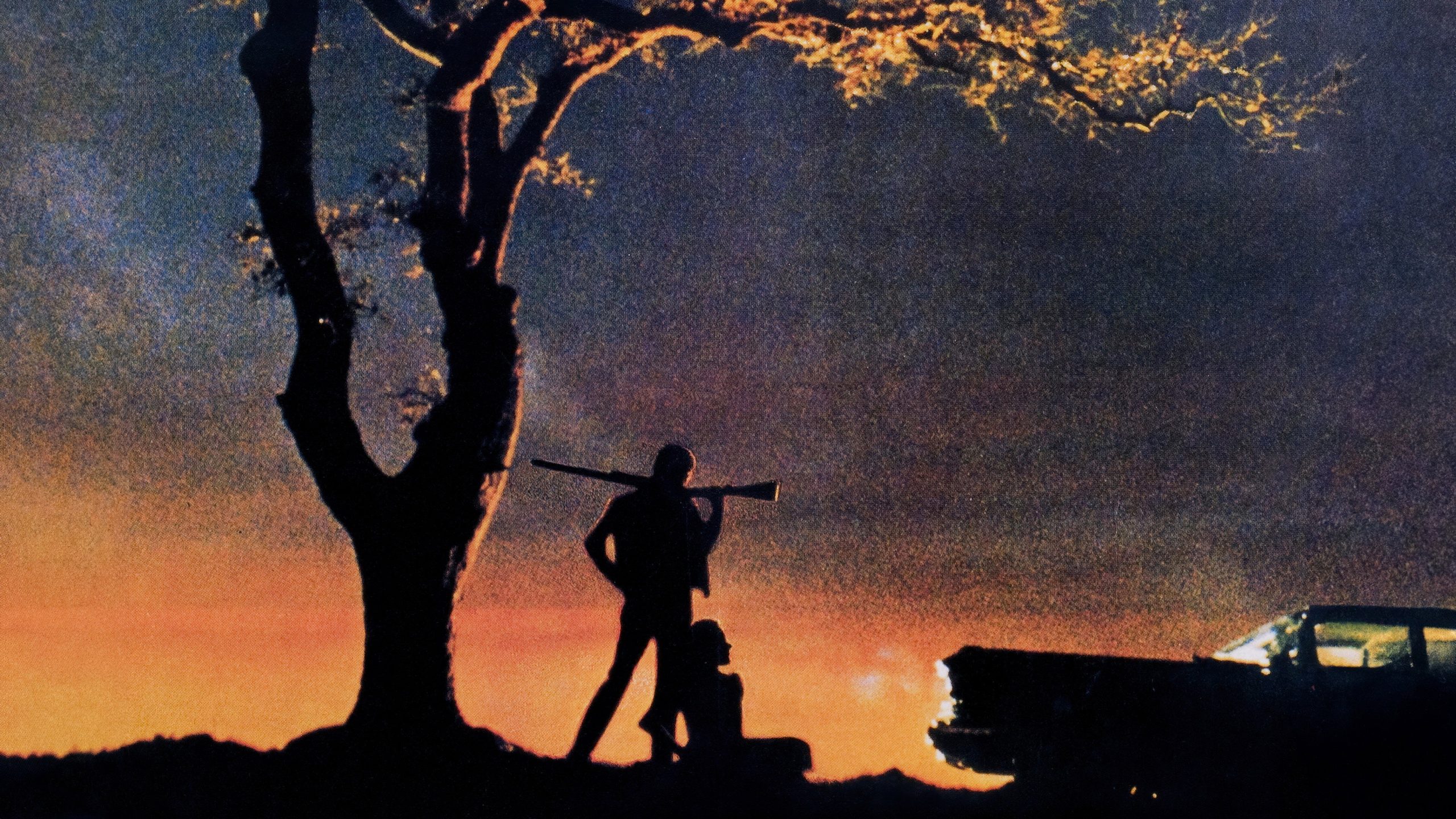 Badlands, still 6