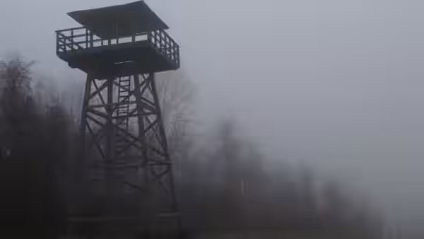 A wooden watchtower stands among bare trees in the fog