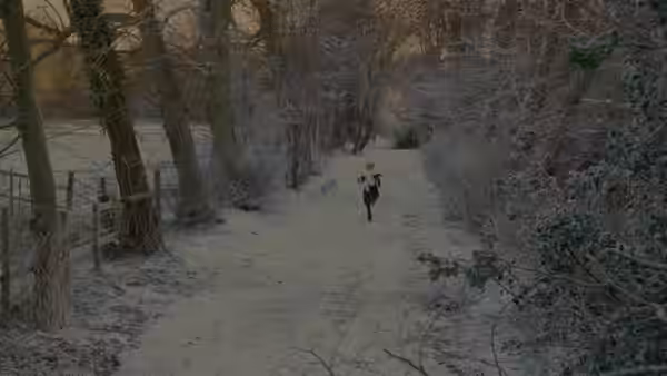 A woman runs along a snow-covered path through leafless trees