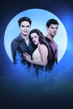 The Twilight Saga: Breaking Dawn - Part 1 poster 4