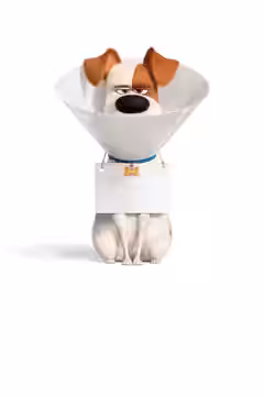 The Secret Life of Pets 2 poster 6
