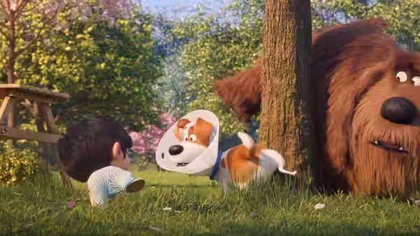 A young boy plays with cone-wearing Max as Duke watches from beside a tree