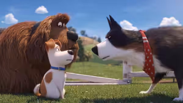 Rooster and Max face a black-and-white dog on a grassy farm