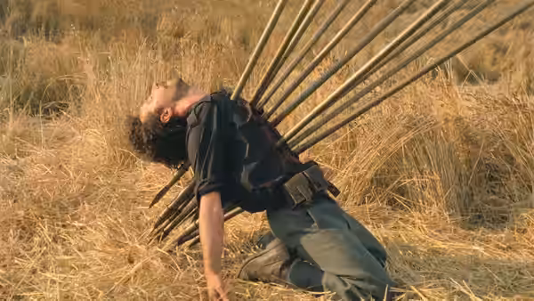 A man falls backward into dry grass with long poles jutting from his back