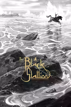The Black Stallion poster 2