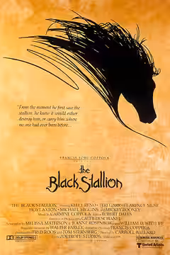 The Black Stallion poster 5
