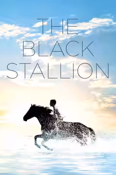 The Black Stallion poster 3