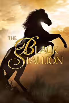 The Black Stallion poster 4