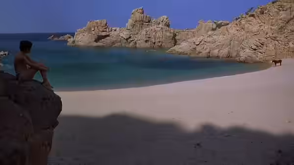 A boy sits on rocks beside a secluded beach as a horse stands across the cove