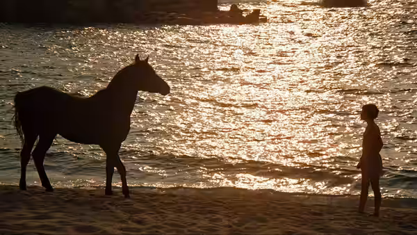 Alec Ramsey stands on the shore facing the Black Stallion