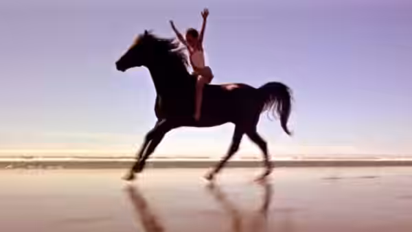 Alec Ramsey (Kelly Reno) rides the Black Stallion bareback along the beach