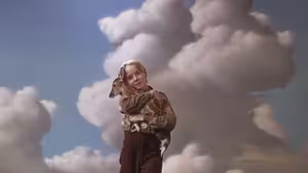The Yearling, still 2