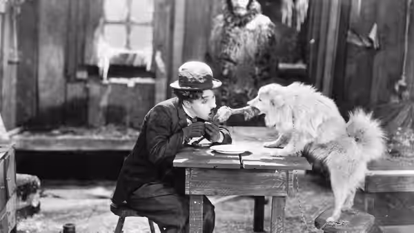 The Lone Prospector (Charlie Chaplin) leans across a table toward a large dog