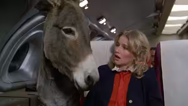 Blonde woman stares at donkey inside airplane passenger cabin