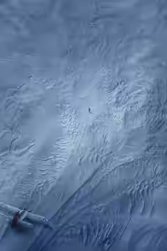 Arctic poster 5