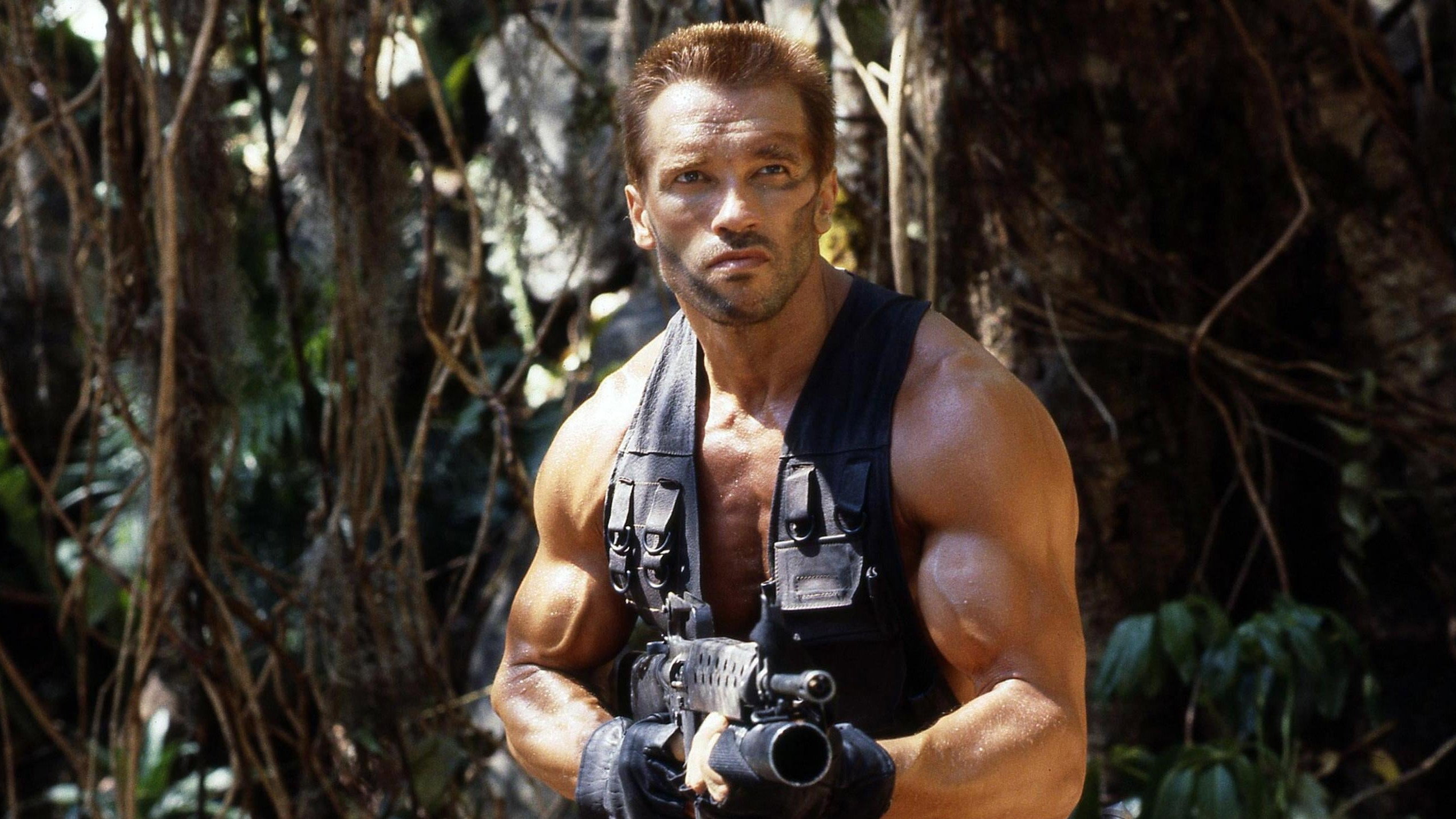 Predator, still 2