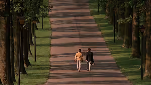 Two men walking away down a long tree-lined path