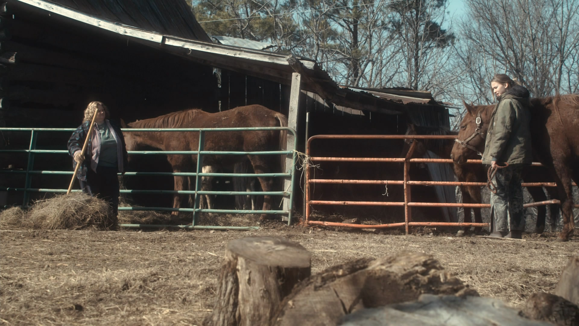 Winter's Bone, still 5
