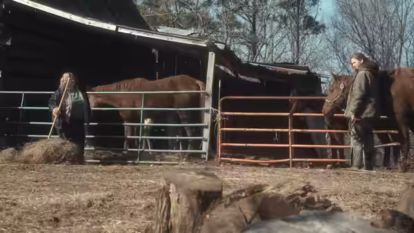 Ree Dolly raking hay near horses at a farm