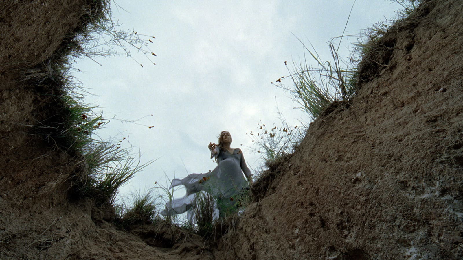 The Tree of Life, still 5