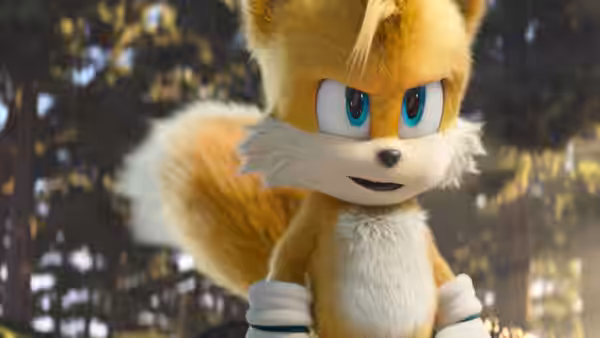 Tails stands alert among trees in a forest