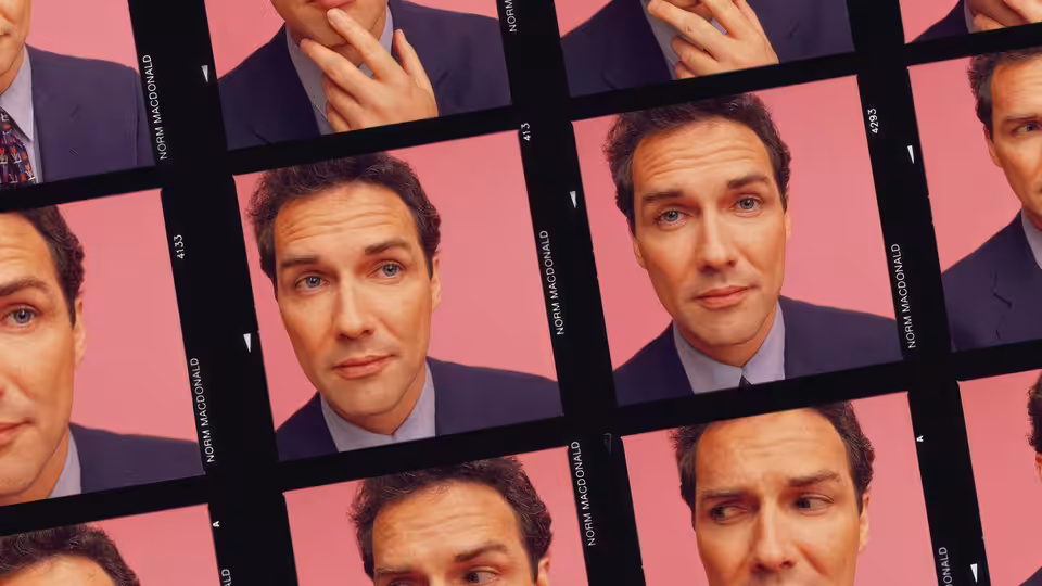 Norm Macdonald (as himself) appears in a grid of portraits against a pink backdrop