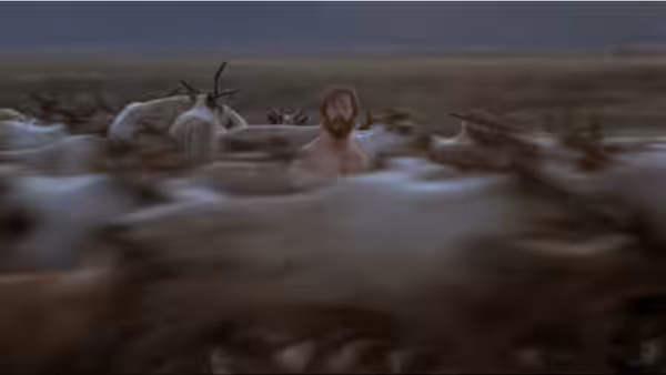 Tyler (Charles Martin Smith) stands among a herd of caribou