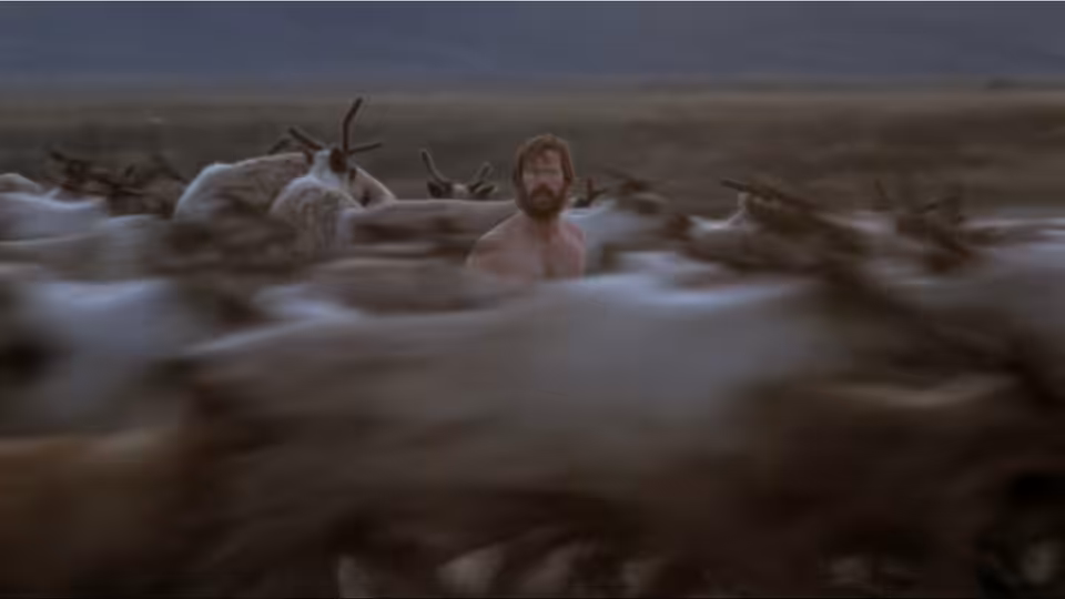 Tyler (Charles Martin Smith) stands among a herd of caribou