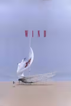 Wind poster 1