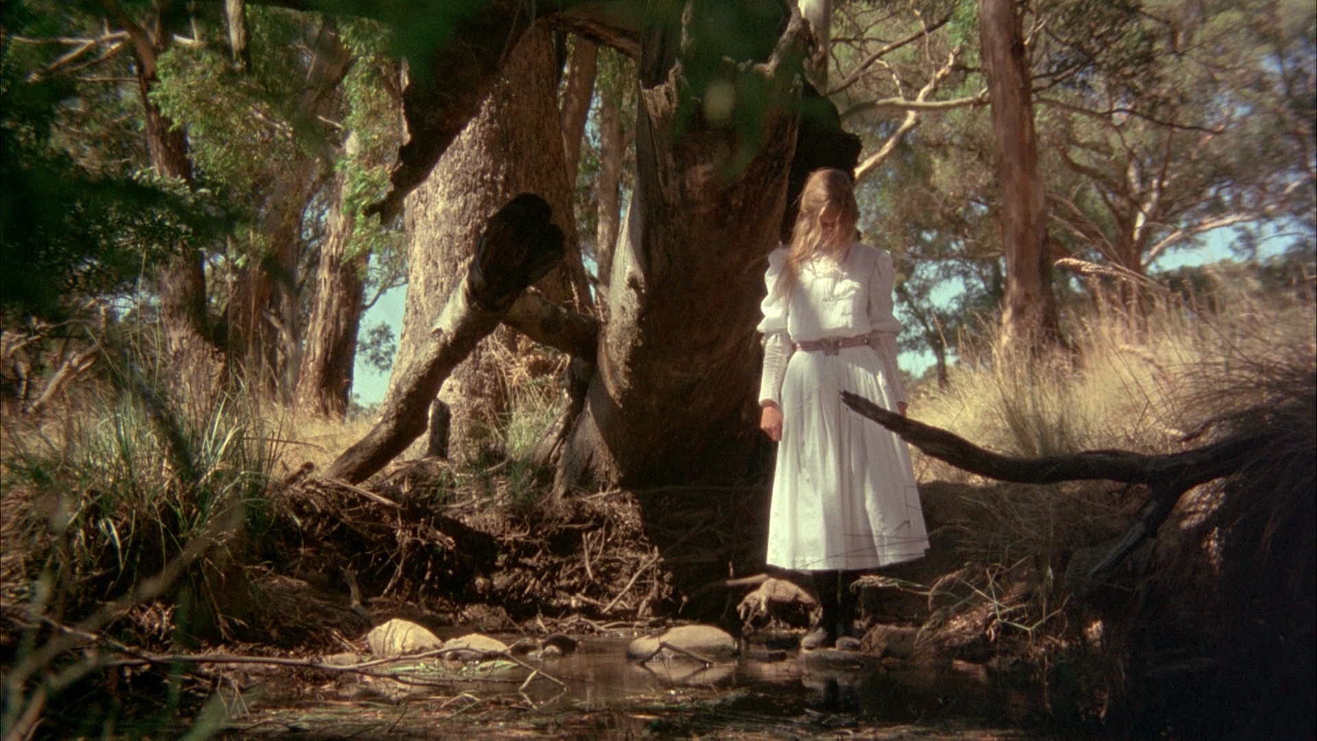 Picnic at Hanging Rock, still 4