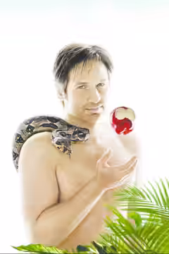 Californication poster 6