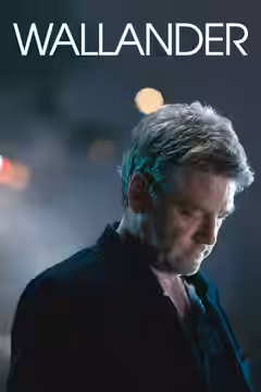 Wallander poster