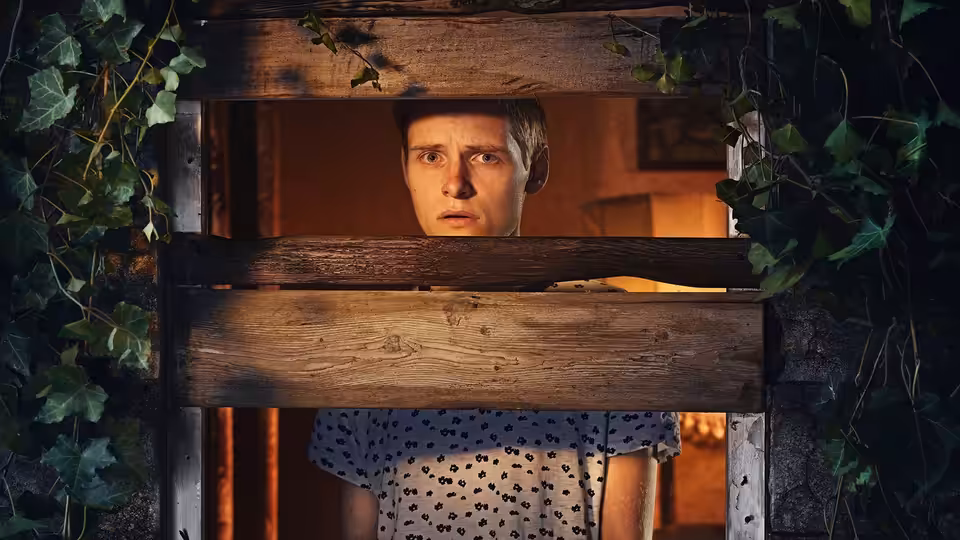 A man peers through gaps in a wooden fence surrounded by ivy