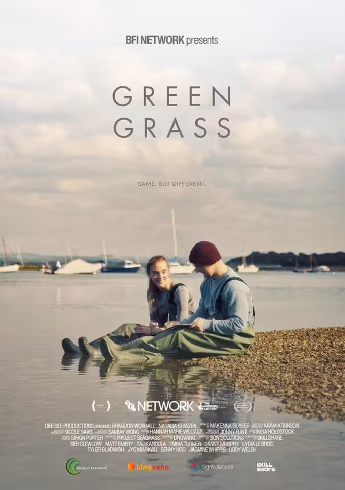 Green Grass poster