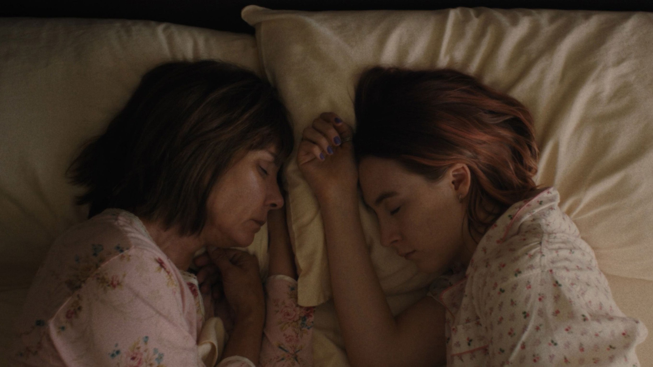 Lady Bird, still 1