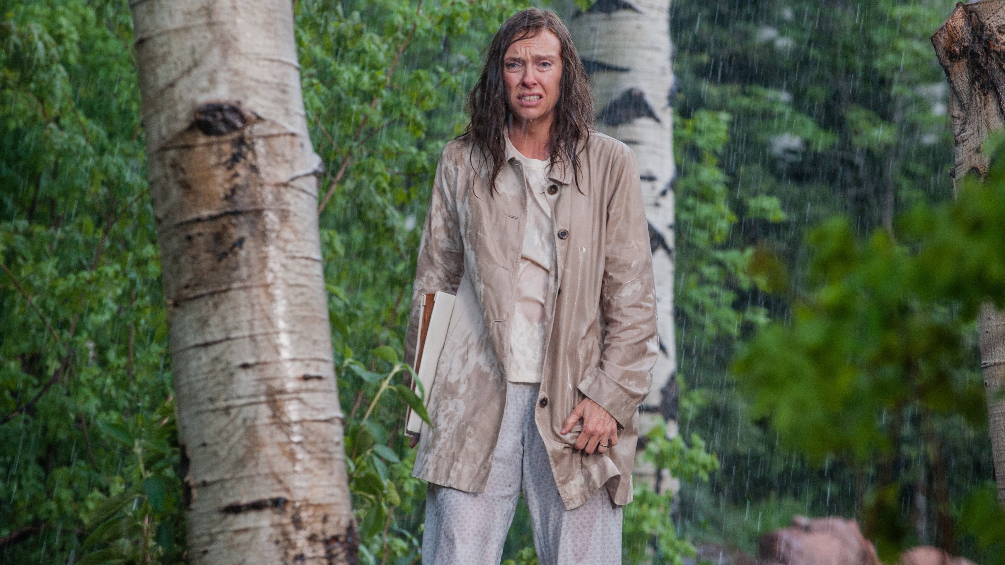 Hereditary, still 4