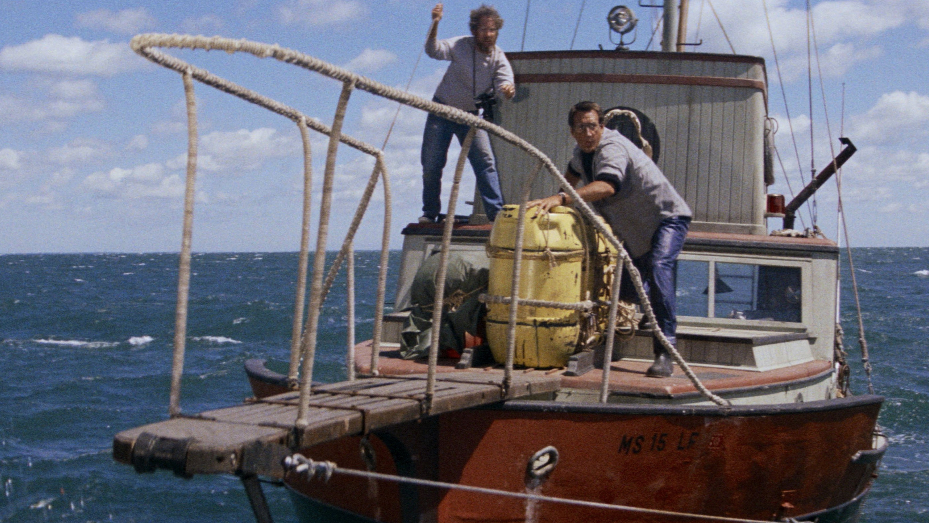 Jaws, still 3